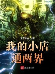 我的小店通两界封面