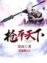 枪平天下封面