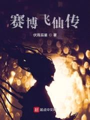 赛博飞仙传封面
