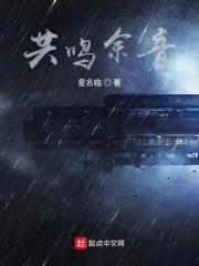 共鸣余音封面