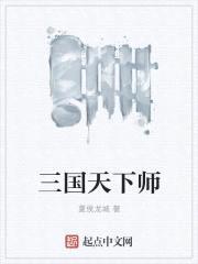 三国天下师封面
