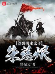 签到明末太子朱慈烺封面
