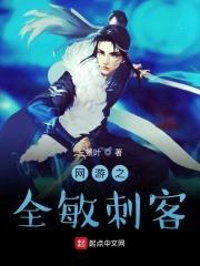 网游之全敏刺客封面