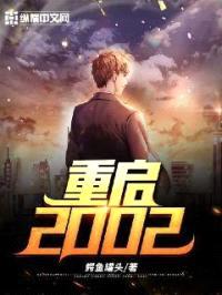 重启2002封面