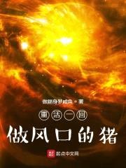 重活一回：做风口的猪封面