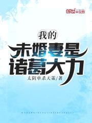 我的未婚妻是诸葛大力封面