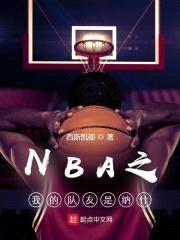 NBA之我的队友是纳什封面