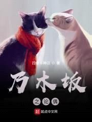 乃木坂之论偶封面