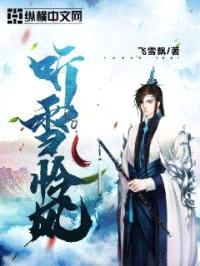 听雪怜风封面