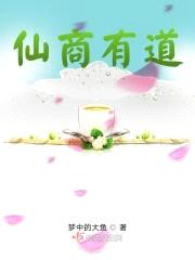 仙商有道封面