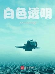 白色透明封面