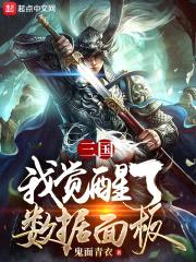 三国：我觉醒了数据面板封面