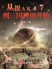 从提AK47到三国种田开始封面
