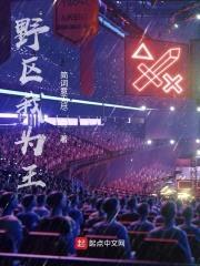 野区我为王封面