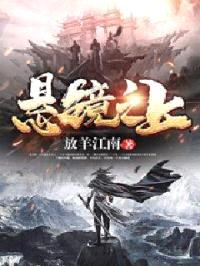 悬镜之上封面