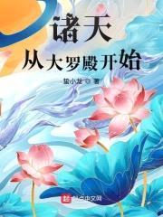 诸天从大罗殿开始封面
