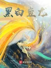 黑白鱼龙封面