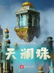 天澜珠封面