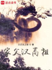 家父汉高祖封面