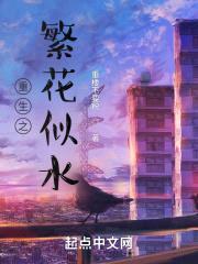 重生之繁花似水封面