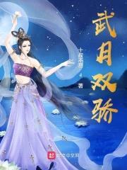 武月双骄封面