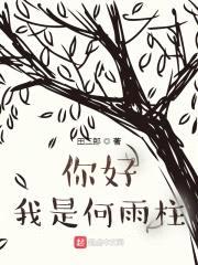 你好我是何雨柱封面