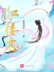 红楼志封面