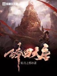醉回大唐封面