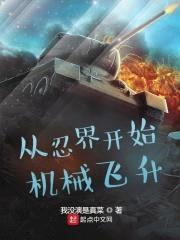 从忍界开始机械飞升封面
