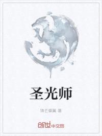 圣光师封面