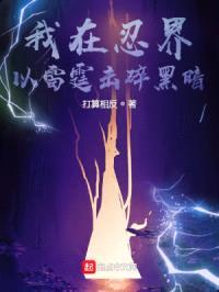 我在忍界以雷霆击碎黑暗封面