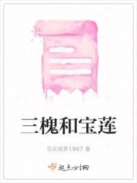 三槐和宝莲封面