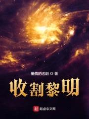 收割黎明封面