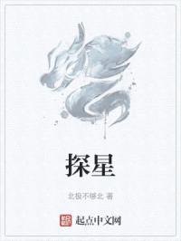 探星封面