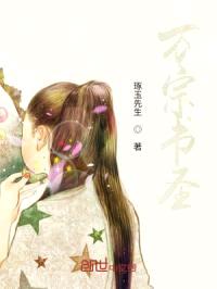 万宗书圣封面