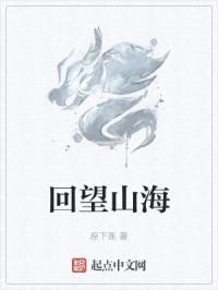 回望山海封面