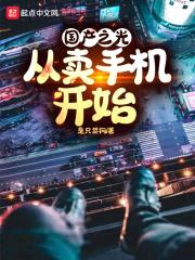 国产之光：从卖手机开始封面