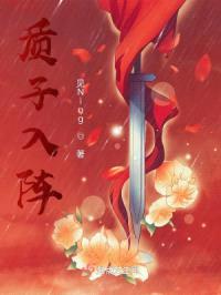 质子入阵封面
