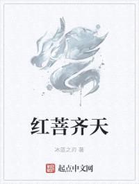 红菩齐天封面