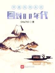 带着购物系统回到80年代封面
