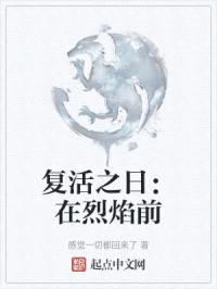烈焰前封面
