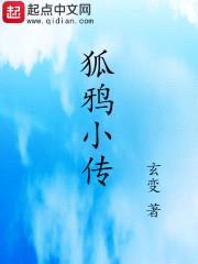 狐鸦小传封面