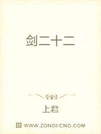 剑动无极封面