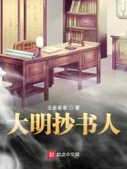 大明抄书人封面