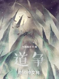 道争封面