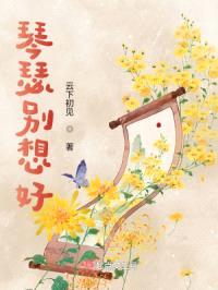 琴瑟别想好封面