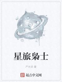 星旅枭士封面