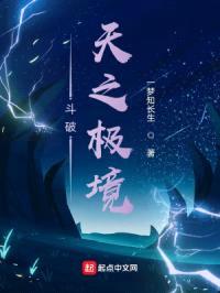 斗破：天之极境封面