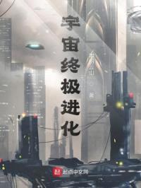 宇宙终极进化封面