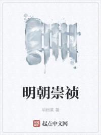 明朝崇祯封面